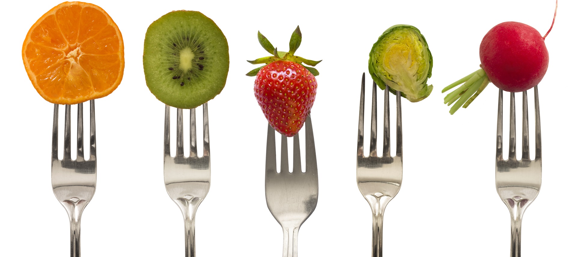 nutrition banner image